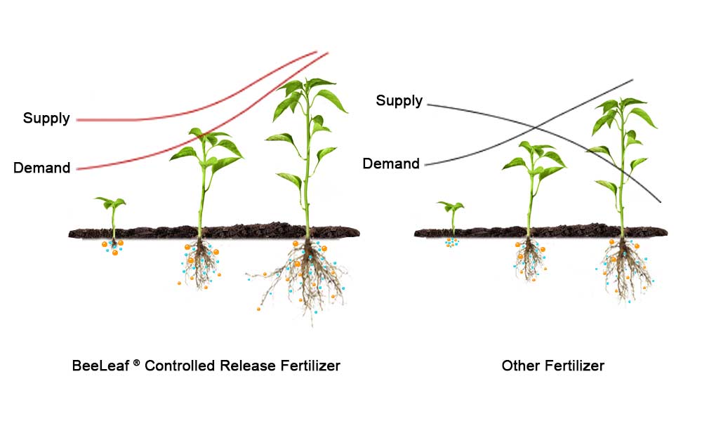 Our-Fertilizers-about