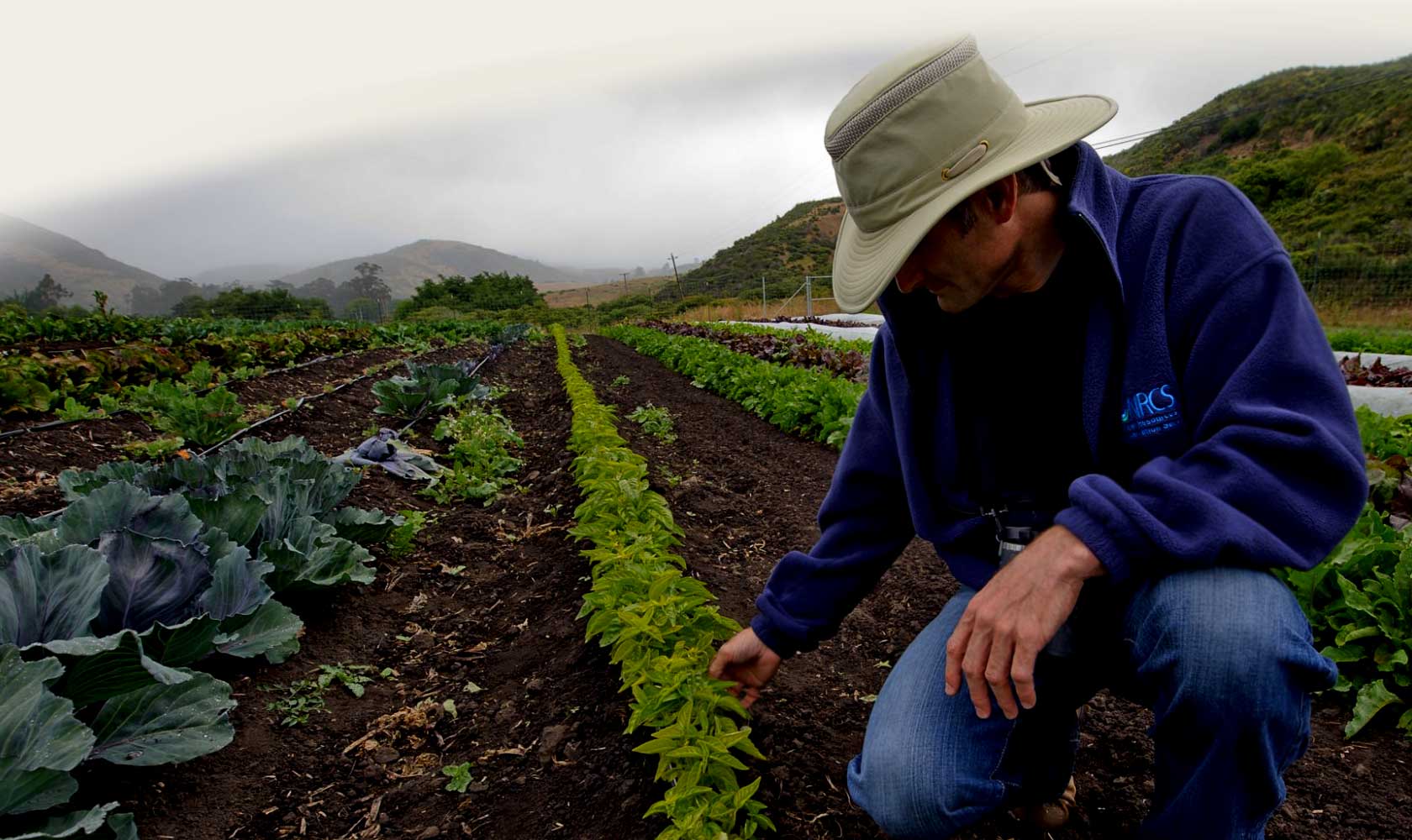 farmer